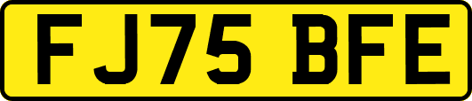 FJ75BFE