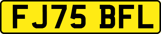 FJ75BFL