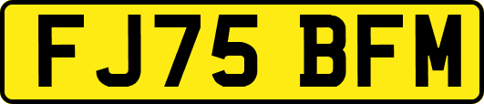 FJ75BFM