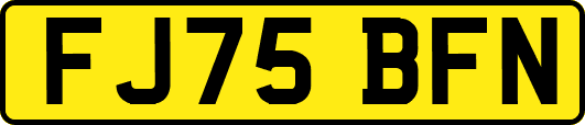 FJ75BFN