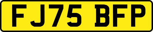FJ75BFP