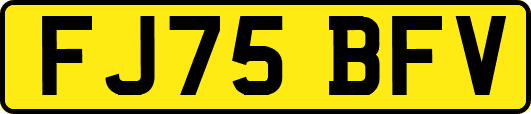 FJ75BFV