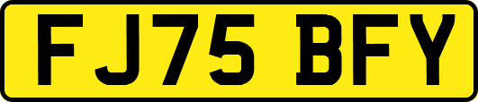 FJ75BFY