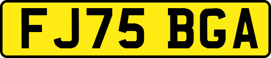 FJ75BGA