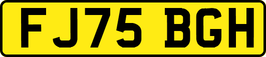 FJ75BGH