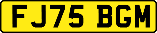FJ75BGM