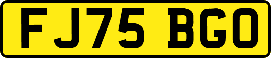 FJ75BGO