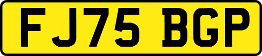FJ75BGP