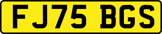 FJ75BGS
