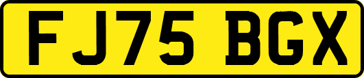 FJ75BGX