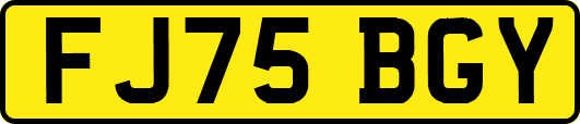 FJ75BGY