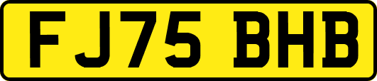 FJ75BHB