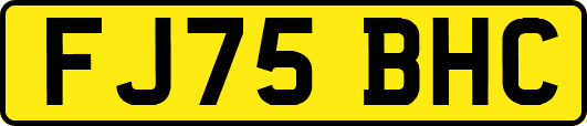 FJ75BHC