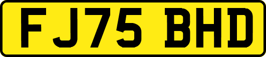 FJ75BHD
