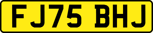 FJ75BHJ