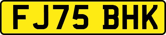 FJ75BHK