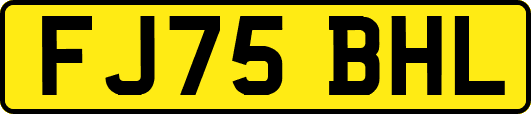FJ75BHL