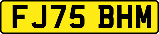 FJ75BHM
