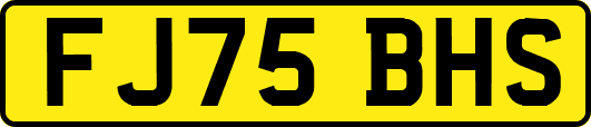 FJ75BHS