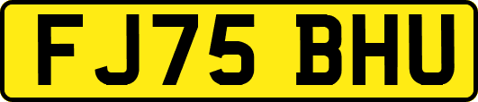 FJ75BHU