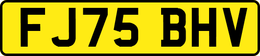 FJ75BHV