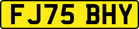 FJ75BHY