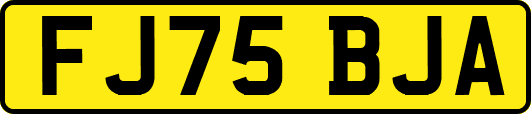 FJ75BJA