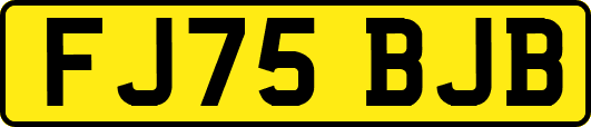 FJ75BJB