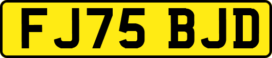 FJ75BJD