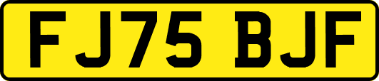 FJ75BJF