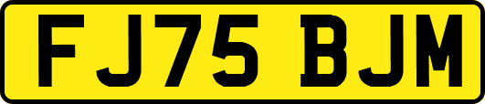 FJ75BJM