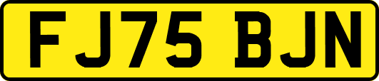 FJ75BJN