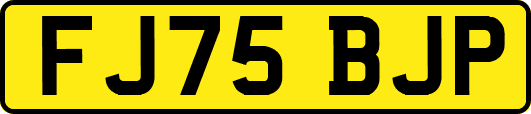 FJ75BJP