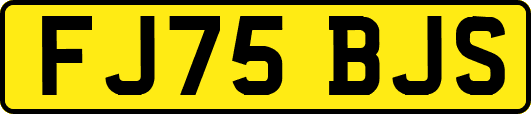 FJ75BJS