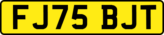 FJ75BJT