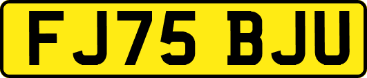 FJ75BJU