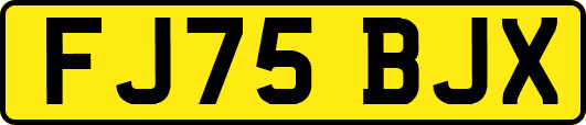 FJ75BJX