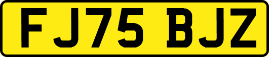 FJ75BJZ
