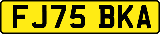FJ75BKA