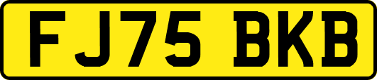 FJ75BKB