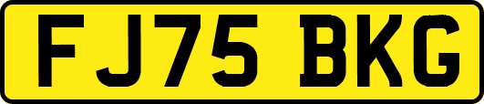 FJ75BKG