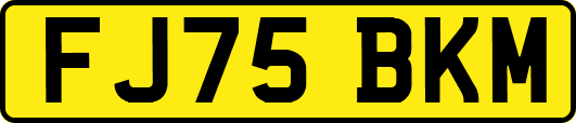 FJ75BKM