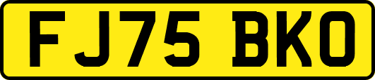 FJ75BKO