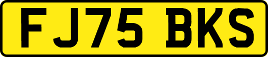 FJ75BKS