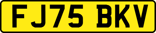 FJ75BKV