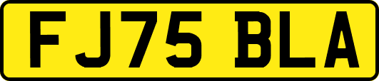FJ75BLA