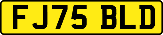 FJ75BLD