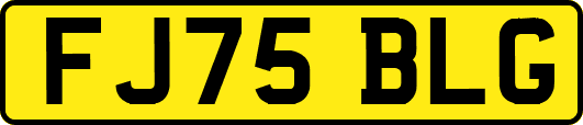 FJ75BLG