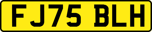 FJ75BLH