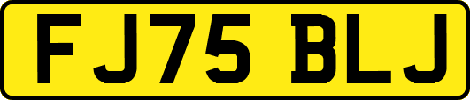 FJ75BLJ